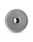 The Filtered Shower Head