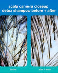Peptide Prep Clarifying Detox Shampoo
