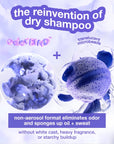 AirWash Dry Shampoo